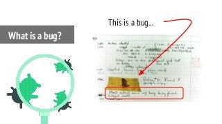 What is a bug?
This is a bug...
 