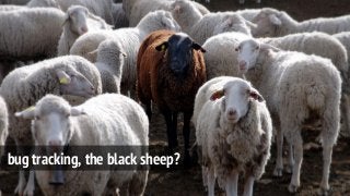 bug tracking, the black sheep?
 