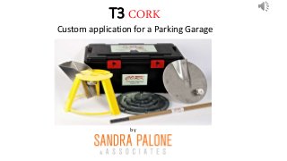 T3 CORK
Custom application for a Parking Garage
by
 