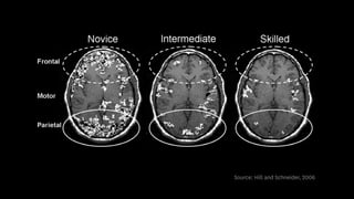 Source: Hill and Schneider, 2006
 