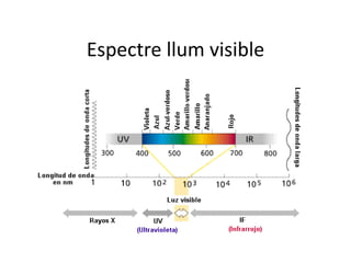 Espectre llum visible 
 
