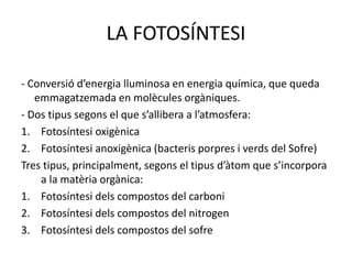 LA FOTOSÍNTESI 
- Conversió d’energia lluminosa en energia química, que queda 
emmagatzemada en molècules orgàniques. 
- Dos tipus segons el que s’allibera a l’atmosfera: 
1. Fotosíntesi oxigènica 
2. Fotosíntesi anoxigènica (bacteris porpres i verds del Sofre) 
Tres tipus, principalment, segons el tipus d’àtom que s’incorpora 
a la matèria orgànica: 
1. Fotosíntesi dels compostos del carboni 
2. Fotosíntesi dels compostos del nitrogen 
3. Fotosíntesi dels compostos del sofre 
 