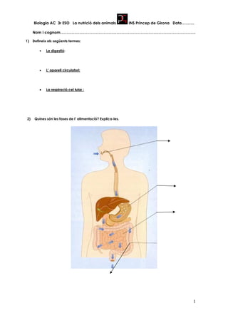 Biologia AC 3r ESO La nutrició dels animals             INS Príncep de Girona Data……….

     Nom i cognom…………………………………………………………………………………………….

1)   Defineix els següents termes:

         •   La digestió:




         •   L’ aparell circulatori:




         •   La respiració cel—lular :




2)    Quines són les fases de l’ alimentació? Explica-les.




                                                                                          1
 
