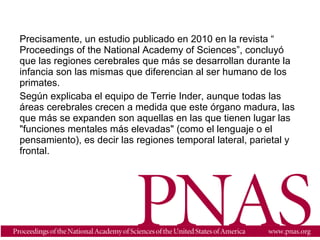 Precisamente, un estudio publicado en 2010 en la revista “
Proceedings of the National Academy of Sciences”, concluyó
que las regiones cerebrales que más se desarrollan durante la
infancia son las mismas que diferencian al ser humano de los
primates.
Según explicaba el equipo de Terrie Inder, aunque todas las
áreas cerebrales crecen a medida que este órgano madura, las
que más se expanden son aquellas en las que tienen lugar las
"funciones mentales más elevadas" (como el lenguaje o el
pensamiento), es decir las regiones temporal lateral, parietal y
frontal.
 
