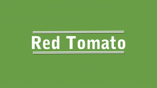 Red Tomato