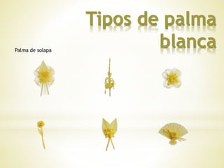 Tipos de palma 
blanca Palma de solapa 
 