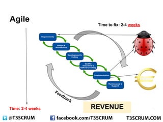 #T3SCRUM: 12 principles of agile | PDF