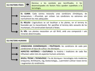 ELS FACTORS FÍSICS
Decisius a les societats poc tecnificades. A les
desenvolupades els factors físics queden supeditats a la
tecnologia.
EL CLIMA: Cada conreu necessita unes condicions climàtiques, de
temperatura i d'humitat, per créixer. Les condicions no extremes són
normalment les més adequades
EL RELLEU: L'agricultura se sol localitzar a les planes, on el terreny és
favorable per la mecanització. Per aprofitar el terreny dels vessants de les
muntanyes, s'hi construeixen bancals o feixes.
EL SÒL: Les plantes necessiten un sòl fèrtil, amb una composició i sals
minerals determinades.
ELS FACTORS HUMANS
CONDICIONS ECONÒMIQUES i POLÍTIQUES: les condicions de cada país
condicionen el tipus de cultius i les tècniques.
ASPECTES HISTÒRICS I CULTURALS: la història i tradicions de cada lloc
Influeixen sobre tots els aspectes humans anteriors.
.
NIVELL TÈCNIC i TECNOLÒGIC: l’ús de tècniques i tecnologies més modernes
(màquines, fertilitzants, reg, biotecnologia,...) permeten cultivar noves terres
i augmentar els rendiments.
 