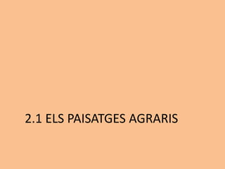2.1 ELS PAISATGES AGRARIS
 