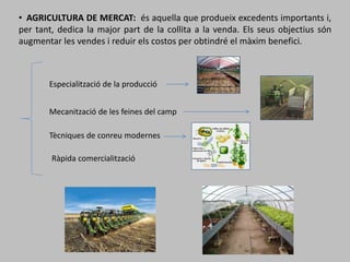 • AGRICULTURA DE MERCAT: és aquella que produeix excedents importants i,
per tant, dedica la major part de la collita a la venda. Els seus objectius són
augmentar les vendes i reduir els costos per obtindré el màxim benefici.
Especialització de la producció
Mecanització de les feines del camp
Tècniques de conreu modernes
Ràpida comercialització
 