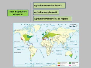 Tipus d’agricultura
de mercat
Agricultura extensiva de secà
Agricultura de plantació
Agricultura mediterrània de regadiu
 