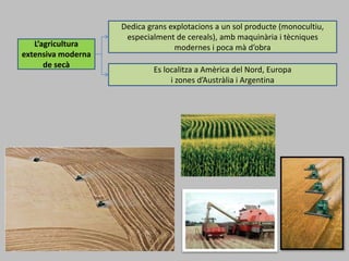 L’agricultura
extensiva moderna
de secà
Dedica grans explotacions a un sol producte (monocultiu,
especialment de cereals), amb maquinària i tècniques
modernes i poca mà d’obra
Es localitza a Amèrica del Nord, Europa
i zones d’Austràlia i Argentina
 