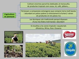 L’agricultura
de plantació
Cultiven enormes parcel·les dedicades al monocultiu
de productes tropicals com cacau, té, cafè, plàtans,...
Pertanyen a companyies estrangeres que compren terra molt barata
i abundant en països pobres (o directament la furten) i vénen
els productes en els països rics
Les tècniques són tradicionals perquè disposen
d’una mà d’obra molt barata i abundant
Es localitza a les zones tropicals i equatorials
d’Amèrica, Àfrica, Àsia i Oceania
 