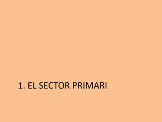1. EL SECTOR PRIMARI
 