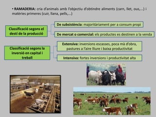• RAMADERIA: cria d’animals amb l’objectiu d’obtindre aliments (carn, llet, ous,...) i
matèries primeres (cuir, llana, pells,...)
Classificació segons el
destí de la producció
De subsistència: majoritàriament per a consum propi
De mercat o comercial: els productes es destinen a la venda
Classificació segons la
inversió en capital i
treball
Extensiva: inversions escasses, poca mà d’obra,
pastures a l’aire lliure i baixa productivitat
Intensiva: fortes inversions i productivitat alta
 