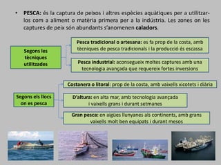 • PESCA: és la captura de peixos i altres espècies aquàtiques per a utilitzar-
los com a aliment o matèria primera per a la indústria. Les zones on les
captures de peix són abundants s’anomenen caladors.
Segons les
tècniques
utilitzades
Pesca tradicional o artesana: es fa prop de la costa, amb
tècniques de pesca tradicionals i la producció és escassa
Pesca industrial: aconsegueix moltes captures amb una
tecnologia avançada que requereix fortes inversions
Segons els llocs
on es pesca
Costanera o litoral: prop de la costa, amb vaixells xicotets i diària
D’altura: en alta mar, amb tecnologia avançada
i vaixells grans i durant setmanes
Gran pesca: en aigües llunyanes als continents, amb grans
vaixells molt ben equipats i durant mesos
 
