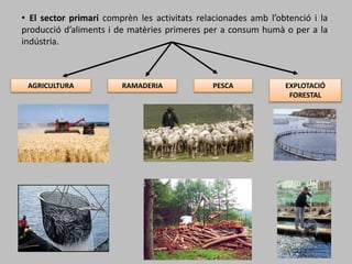 AGRICULTURA RAMADERIA PESCA EXPLOTACIÓ
FORESTAL
• El sector primari comprèn les activitats relacionades amb l’obtenció i la
producció d’aliments i de matèries primeres per a consum humà o per a la
indústria.
 