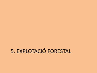 5. EXPLOTACIÓ FORESTAL
 