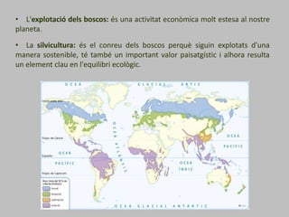 • L'explotació dels boscos: és una activitat econòmica molt estesa al nostre
planeta.
• La silvicultura: és el conreu dels boscos perquè siguin explotats d'una
manera sostenible, té també un important valor paisatgístic i alhora resulta
un element clau en l'equilibri ecològic.
 