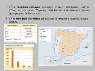 • En la ramaderia espanyola destaquen el porcí (Mediterrani i vall de
l’Ebre), el boví (nord d’Espanya), l’oví (interior i Andalusia) i l’avícola
(granges prop de les ciutats).
• En la ramaderia valenciana cal destacar la ramaderia intensiva avícola i
porcina.
 
