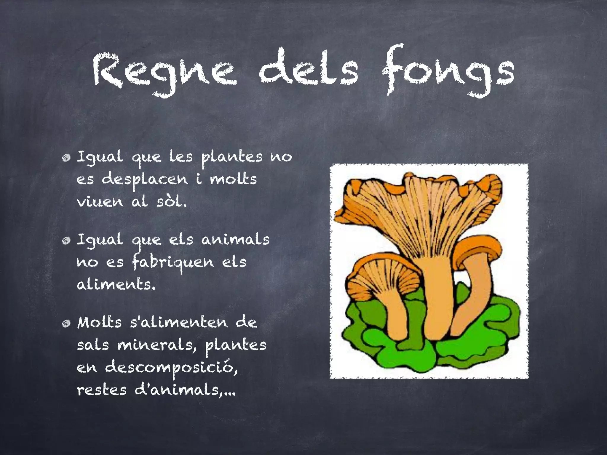 Regne dels fongs
Igual que les plantes no
es desplacen i molts
viuen al sòl.

Igual que els animals
no es fabriquen els
aliments.

Molts s'alimenten de
sals minerals, plantes
en descomposició,
restes d'animals,...
 