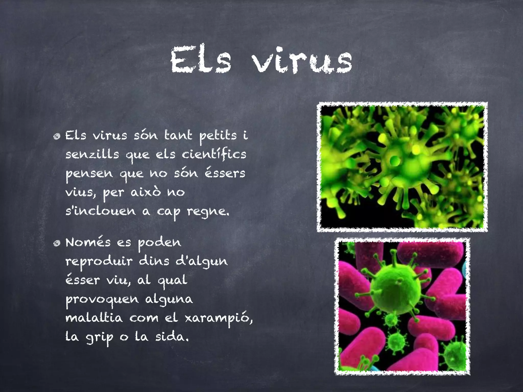 Els virus
Els virus són tant petits i
senzills que els científics
pensen que no són éssers
vius, per això no
s'inclouen a cap regne.

Només es poden
reproduir dins d'algun
ésser viu, al qual
provoquen alguna
malaltia com el xarampió,
la grip o la sida.
 