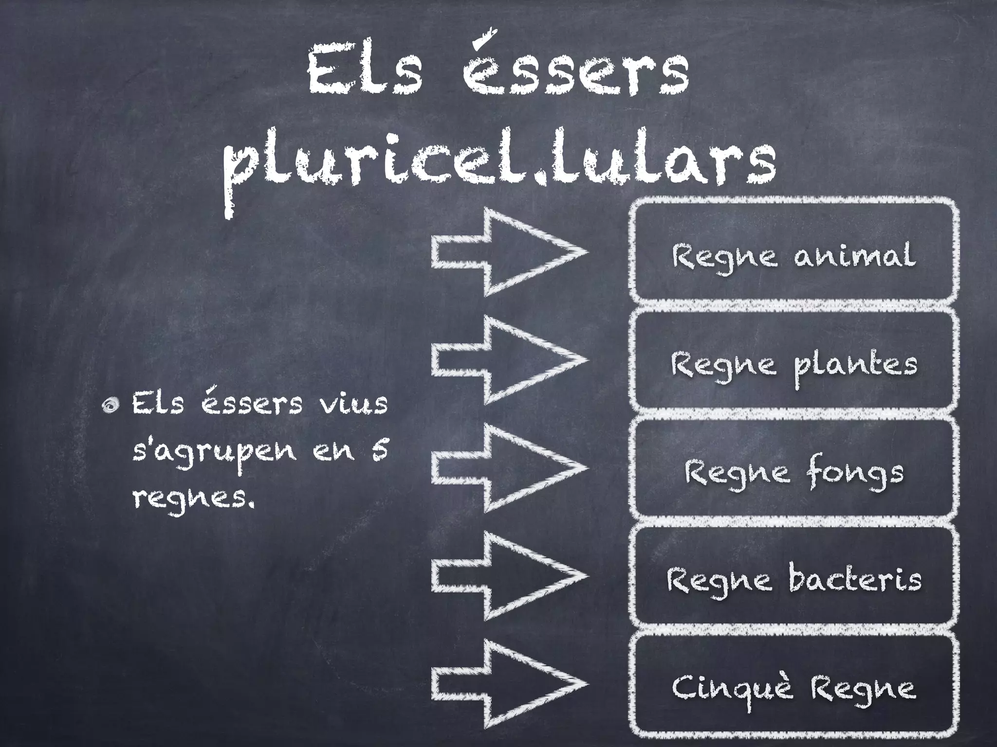 Els éssers
     pluricel.lulars
                  Regne animal


                  Regne plantes
Els éssers vius
s'agrupen en 5
                  Regne fongs
regnes.

                  Regne bacteris


                  Cinquè Regne
 