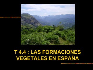 T 4.4 : LAS FORMACIONES
VEGETALES EN ESPAÑA
 