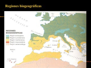 Regiones biogeográficas
 