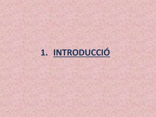 1. INTRODUCCIÓ
 