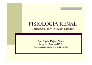 FISIOLOGIA RENAL
Concentración y Dilución Urinaria
Dra. Elydia Mujica Albán
Profesor Principal D.E.
Facultad de Medicina – UNMSM
 