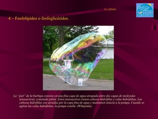 La “piel” de la burbuja consiste en una fina capa de agua atrapada entre dos capas de moléculas tensoactivas, a menudo jabón. Estos tensoactivos tienen cabezas hidrófilas y colas hidrófobas. Las cabezas hidrófilas son atraidas por la capa fina de agua y mantienen intacta a la pompa. Cuando se agitan las colas hidrófobas, la pompa estalla. (Wikipedia).  4 – Fosfolípidos o fosfoglicéridos. T4. LÍPIDOS 