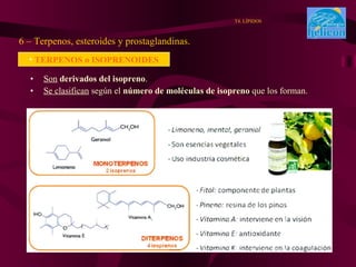Son   derivados del isopreno . Se clasifican  según el  número de moléculas de isopreno  que los forman. 6 – Terpenos, esteroides y prostaglandinas. T4. LÍPIDOS TERPENOS o ISOPRENOIDES 
