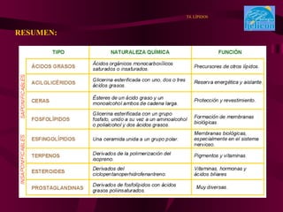 RESUMEN: T4. LÍPIDOS 
