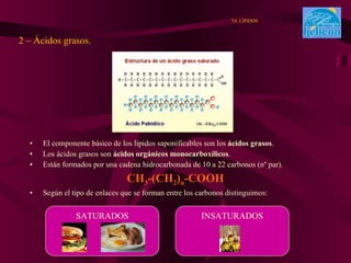 El componente básico de los lípidos saponificables son los  ácidos grasos . Los ácidos grasos son  ácidos orgánicos monocarboxílicos . Están formados por una cadena hidrocarbonada de 10 a 22 carbonos (nº par). CH 3 -(CH 2 ) n -COOH Según el tipo de enlaces que se forman entre los carbonos distinguimos: 2 – Ácidos grasos. . T4. LÍPIDOS SATURADOS INSATURADOS 