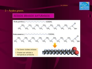 2 – Ácidos grasos. . T4. LÍPIDOS ÁCIDOS GRASOS SATURADOS 
