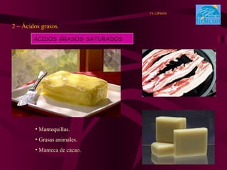 2 – Ácidos grasos. T4. LÍPIDOS ÁCIDOS GRASOS SATURADOS Mantequillas. Grasas animales. Manteca de cacao. 