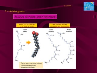 2 – Ácidos grasos. . T4. LÍPIDOS ÁCIDOS GRASOS INSATURADOS MONOINSATURADO (p. e. aceite de oliva) POLIINSATURADO (necesarios para el desarrollo) 