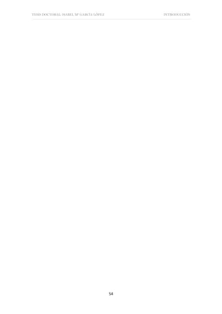 TESIS DOCTORAL: ISABEL Mª GARCÍA LÓPEZ INTRODUCCIÓN
54
 