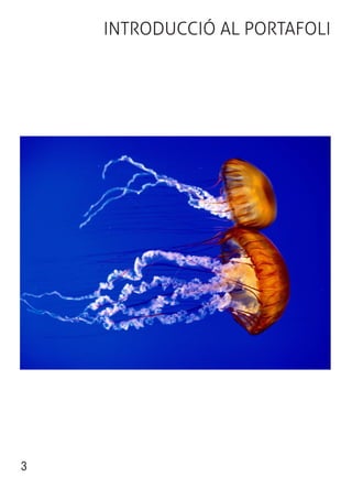 INTRODUCCIÓ AL PORTAFOLI




3
 