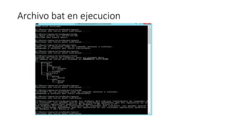 Archivo bat en ejecucion
 