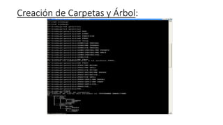 Creación de Carpetas y Árbol:
 