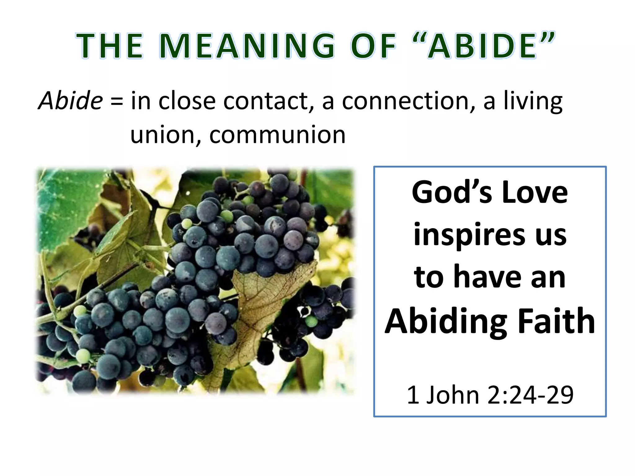 Abide = in close contact, a connection, a living 
union, communion 
God’s Love 
inspires us 
to have an 
Abiding Faith 
1 John 2:24-29 
 