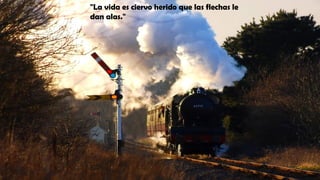 "La vida es ciervo herido que las flechas le
dan alas."
 