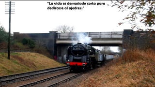 "La vida es demasiado corta para
dedicarse al ajedrez."
 