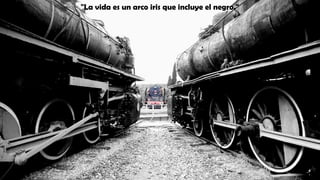 "La vida es un arco iris que incluye el negro."
 