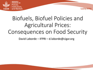 Biofuels, Biofuel Policies and
Agricultural Prices:
Consequences on Food Security
David Laborde – IFPRI – d.laborde@cigar.org
 