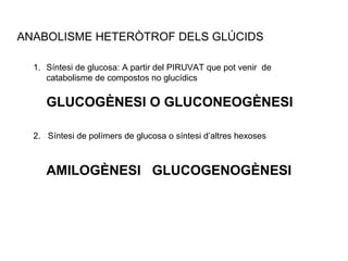 ANABOLISME HETERÒTROF DELS GLÚCIDS 
1. Síntesi de glucosa: A partir del PIRUVAT que pot venir de 
catabolisme de compostos no glucídics 
GLUCOGÈNESI O GLUCONEOGÈNESI 
2. Síntesi de polímers de glucosa o síntesi d’altres hexoses 
AMILOGÈNESI GLUCOGENOGÈNESI 
 