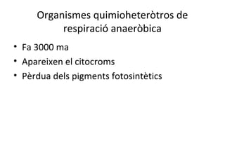 Organismes quimioheteròtros de 
respiració anaeròbica 
• Fa 3000 ma 
• Apareixen el citocroms 
• Pèrdua dels pigments fotosintètics 
 