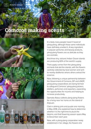 It is likely many people haven’t heard of
ylang-ylang, although those same individuals
have definitely smelled it. A key ingredient
in popular perfumes and beauty products,
ylang-ylang flowers are as delicate as they
are aromatic.
And three tiny, volcanic Indian Ocean islands
are producing 60% of the world’s supply.
That supply comes from the ylang-ylang
orchards that dot the islands, with the flowers
carefully collected by local women and sent
to nearby distilleries where others extract the
essence.
Now, following a unique partnership between
the Government of Comoros, EIF and UNDP,
ylang-ylang cooperatives are being formed
to safeguard Comoros’ ylang-ylang pickers,
distillers, perfumers and exporters, expanding
the opportunities for income and helping to
increase productivity.
Djamalia Alaoui collects ylang-ylang flowers
for a living near her home on the island of
Anjouan.
Clad in striking pink and purple one morning
in May 2018, she explained how to determine
whether it is the right time to pluck the
blooms, and that flowering season spans May
to December each year.
Now, with a ylang-ylang cooperative newly
established in her village, the flowers she
PHOTO ESSAY
Comoros making scents
Deanna Ramsay
8 | Trade4DevNews.enhancedif.org | Agriculture & Trade
 
